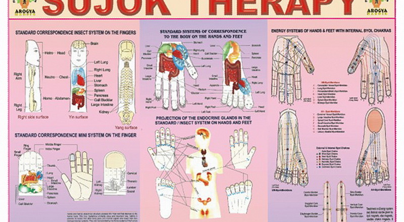 Su-Jok-therapy-Sujok-Su-dzok-mother-tincture-urtinktur-teinture-mere-homeopat-ekstrakt-tinktura-biljni-preparati-com-Alternativa-Metode-dijagnostike-lecenja