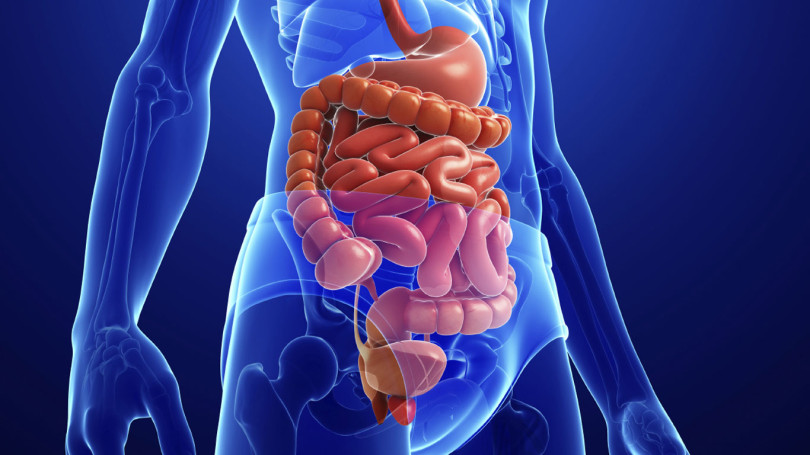 CROHN STOP 6 MIX Kompozitna formula kod Kronove bolesti, ulceroznog kolitisa i iritabilnog kolona MKB-10 K50, K51 i K58