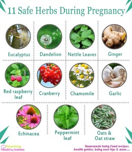 11 bezbednih biljaka u trudnoći
