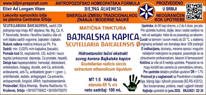 Bajkalska kapica – Scutellaria baicalensis Georgi (Lamiaceae)