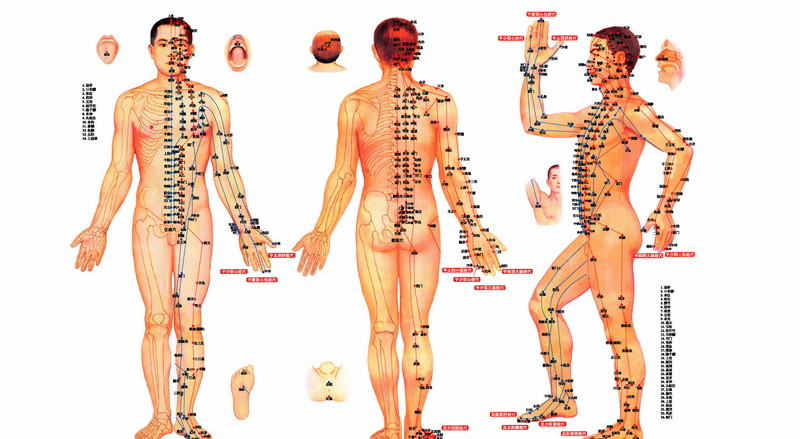 Acupuncture-Akupunktur-Akupunktura -mother-tincture-urtinktur-teinture-mere-homeopat-ekstrakt-tinktura-biljni-preparati-com-Alternativa-Metode-dijagnostike-lecenja