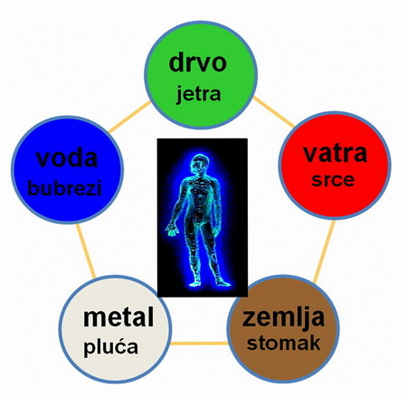 Traditional-Chinese-medicine-Kineska-tradicionalna-medicina-mother-tincture-urtinktur-teinture-mere-homeopat-ekstrakt-tinktura-biljni-preparati-com-Alternativa-Metode-dijagnostike-lecenja
