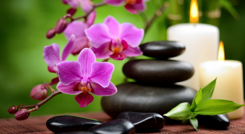 chinese-feng-shui-chinesischen-feng-shui-chinois-kineski-feng-sui-mother-tincture-urtinktur-teinture-mere-homeopat-ekstrakt-tinktura-biljni-preparati-com-alternativa-prakse