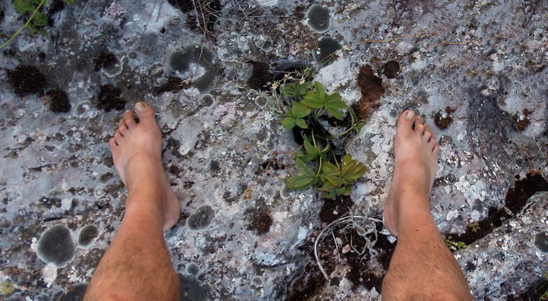 earthing-therapy-erdungs-therapy-therapie-terre-terapija-uzemljivanjem-mother-tincture-urtinktur-teinture-mere-homeopat-tinktura-ekstrakt-biljni-preparati-com-alternativa-izbor