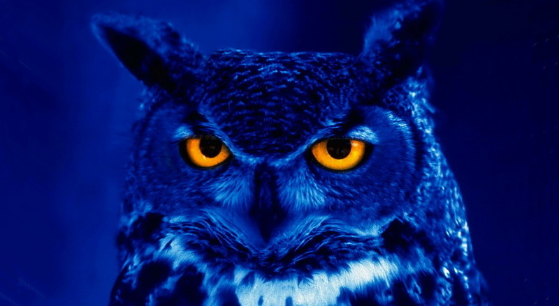 knowledge-science-wissen-wissenschaft-connaissance-znanje-nauka-mother-tincture-urtinktur-teinture-mere-homeopat-tinktura-ekstrakt-biljni-preparati-com-yt1mi-alternativa-izbor