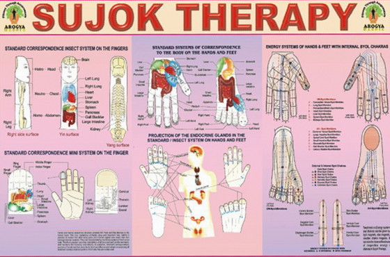 Su-Jok-therapy-Sujok-Su-dzok-mother-tincture-urtinktur-teinture-mere-homeopat-ekstrakt-tinktura-biljni-preparati-com-Alternativa-Metode-dijagnostike-lecenja