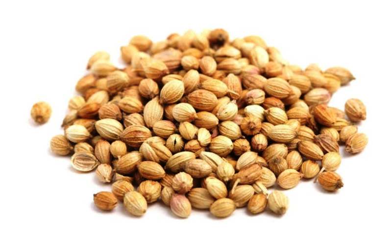 Korijander Coriandrum sativum (Apiaceae) Biljni preparati